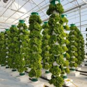 aeroponic tower