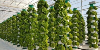 aeroponic tower, aeroponic tower garden