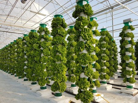 aeroponic tower