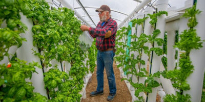 Hydroponic Tower Garden