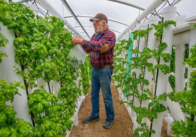 Hydroponic Tower Garden