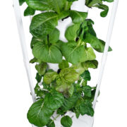 hydroponic tower