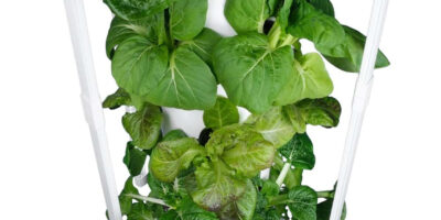 aeroponic tower, aeroponic tower garden