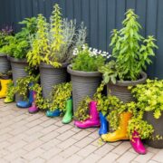 garden ideas