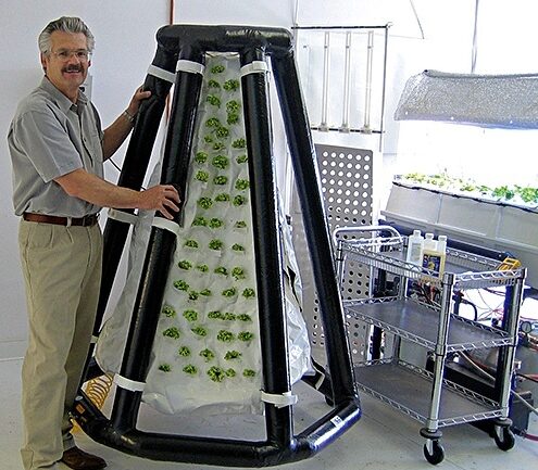 aeroponic tower, aeroponic tower garden