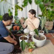 beginner gardening tips