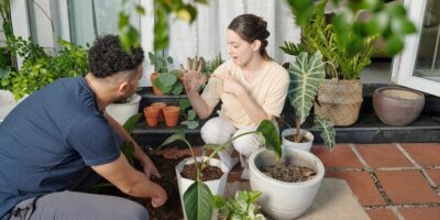 beginner gardening tips