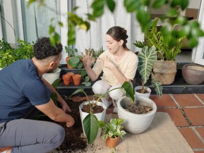 beginner gardening tips