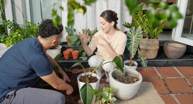 beginner gardening tips