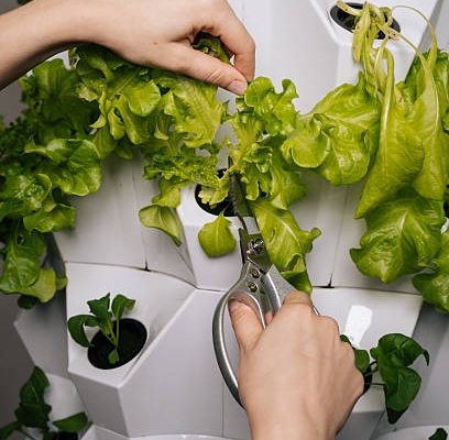 hydroponic tower
